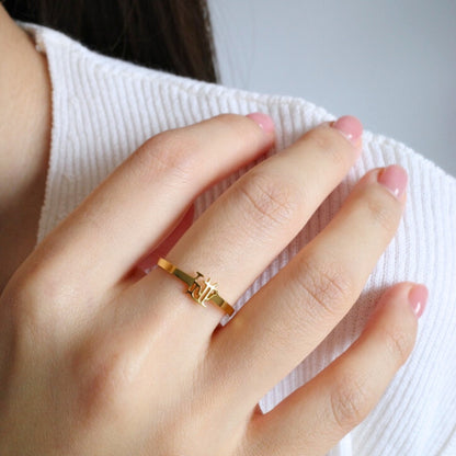 Pong (碰) Ring